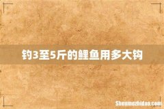 钓3至5斤的鲤鱼用多大钩