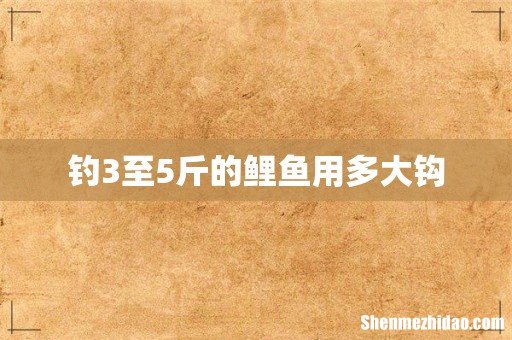 钓3至5斤的鲤鱼用多大钩