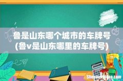鲁v是山东哪里的车牌号 鲁是山东哪个城市的车牌号