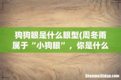 周冬雨属于“小狗眼”，你是什么眼型？ 狗狗眼是什么眼型