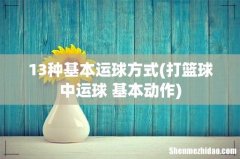 打篮球中运球 基本动作 13种基本运球方式