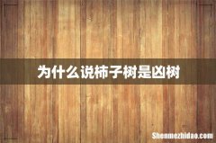 为什么说柿子树是凶树