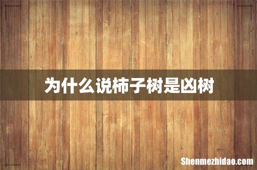 为什么说柿子树是凶树