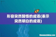 表示突然明白的成语 形容突然醒悟的成语