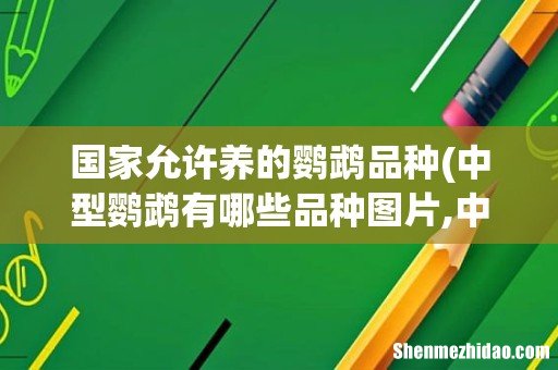 中型鹦鹉有哪些品种图片,中型鹦鹉有哪些品种可以合法饲养 国家允许养的鹦鹉品种