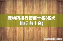 名犬排行 前十名 宠物狗排行榜前十名