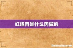 红烧肉是什么肉做的