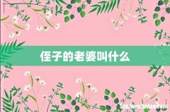 侄子的老婆叫什么