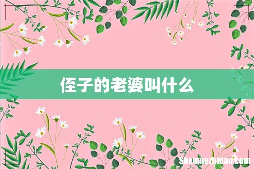 侄子的老婆叫什么