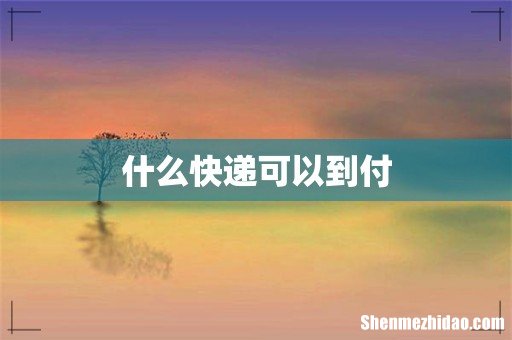 什么快递可以到付