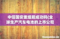 全球生产汽车电池的上市公司都有哪些？尽量全面些，谢谢 中信国安重组能成功吗