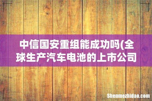 全球生产汽车电池的上市公司都有哪些?尽量全面些,谢谢 中信国安重组能成功吗
