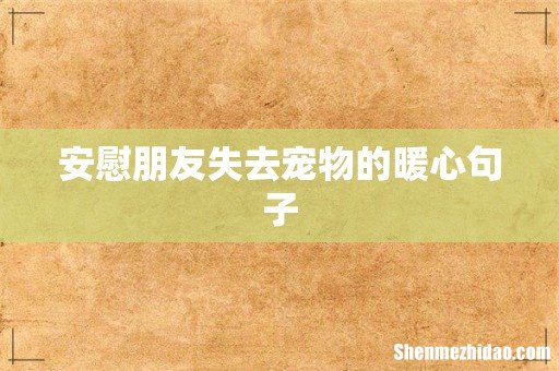 安慰朋友失去宠物的暖心句子