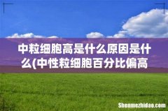 中性粒细胞百分比偏高是什么原因 中粒细胞高是什么原因是什么