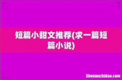求一篇短篇小说 短篇小甜文推荐
