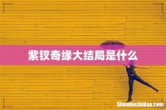 紫钗奇缘大结局是什么