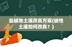 碱性土壤如何改良？ 盐碱地土壤改良方案