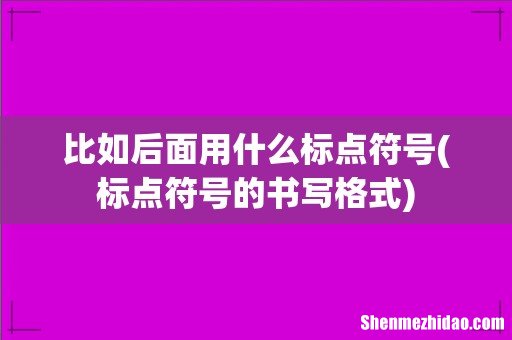 标点符号的书写格式 比如后面用什么标点符号
