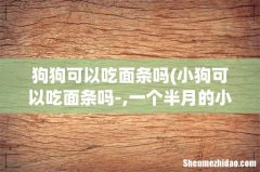 小狗可以吃面条吗-,一个半月的小狗可以吃面条吗 狗狗可以吃面条吗