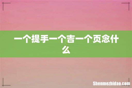 一个提手一个吉一个页念什么
