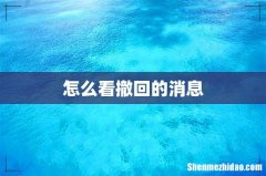 怎么看撤回的消息