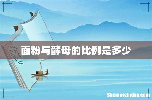 面粉与酵母的比例是多少