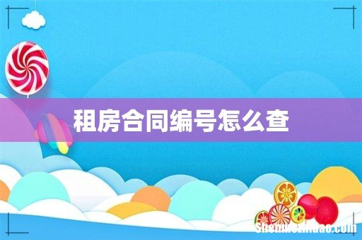 租房合同编号怎么查