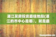 湛江的市中心是哪裏，就是最繁华的地段.要做什么车去啊？ 湛江买房投资最佳地段