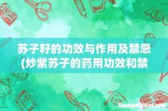 炒紫苏子的药用功效和禁忌是什么 苏子籽的功效与作用及禁忌