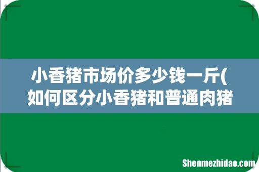 如何区分小香猪和普通肉猪 小香猪市场价多少钱一斤