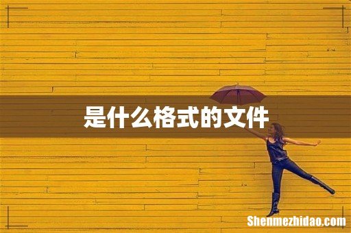 是什么格式的文件