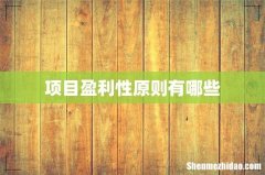 项目盈利性原则有哪些