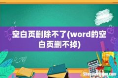 word的空白页删不掉 空白页删除不了