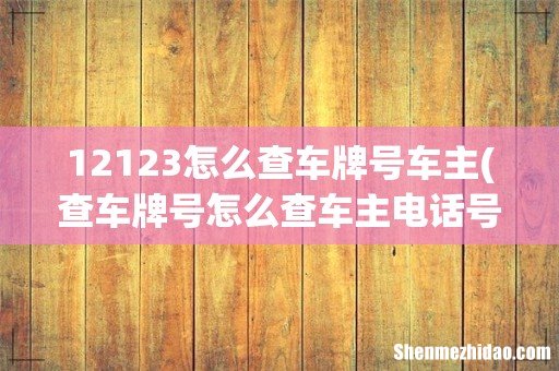 查车牌号怎么查车主电话号码 12123怎么查车牌号车主