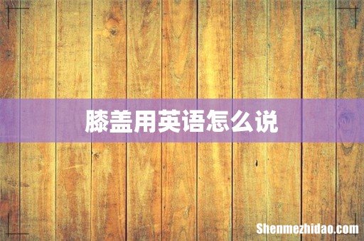 膝盖用英语怎么说