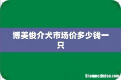 博美俊介犬市场价多少钱一只