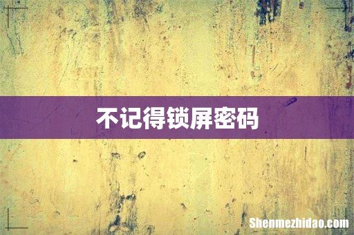 不记得锁屏密码