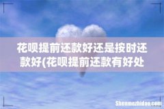 花呗提前还款有好处吗？ 花呗提前还款好还是按时还款好