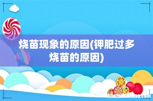 钾肥过多烧苗的原因 烧苗现象的原因