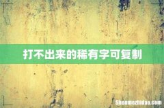 打不出来的稀有字可复制