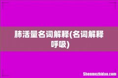 名词解释 呼吸 肺活量名词解释