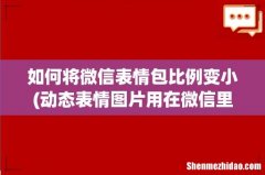 动态表情图片用在微信里太大怎么缩小 如何将微信表情包比例变小