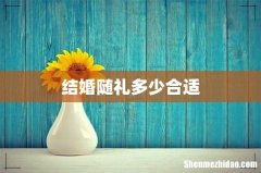 结婚随礼多少合适