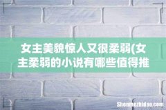 女主柔弱的小说有哪些值得推荐？ 女主美貌惊人又很柔弱