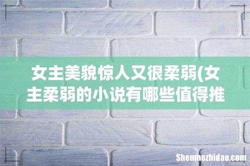 女主柔弱的小说有哪些值得推荐? 女主美貌惊人又很柔弱