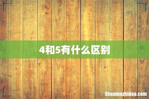 4和5有什么区别