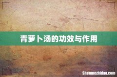 青萝卜汤的功效与作用