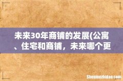 公寓、住宅和商铺，未来哪个更有发展前景？ 未来30年商铺的发展