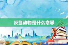 反刍动物是什么意思