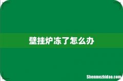 壁挂炉冻了怎么办